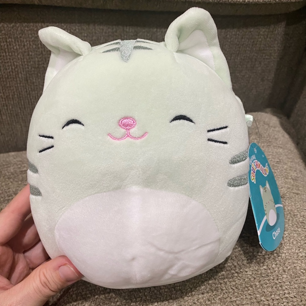 NWT Squishmallows Chase the Cat